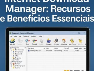 Internet Download Manager