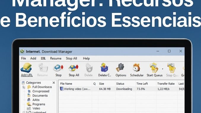 Internet Download Manager Internet Download Manager