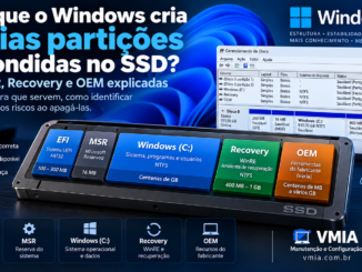 Partições Do Windows 11 Mostrando Efi, Msr, Windows C, Recovery E Oem Em Um Ssd
