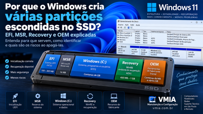 Partições do Windows 11 mostrando EFI, MSR, Windows C, Recovery e OEM em um SSD