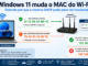 Windows 11 Usando Mac Aleatório No Wi-Fi E Impedindo A Aplicação De Uma Reserva Dhcp